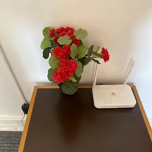 Rose View Guest house
